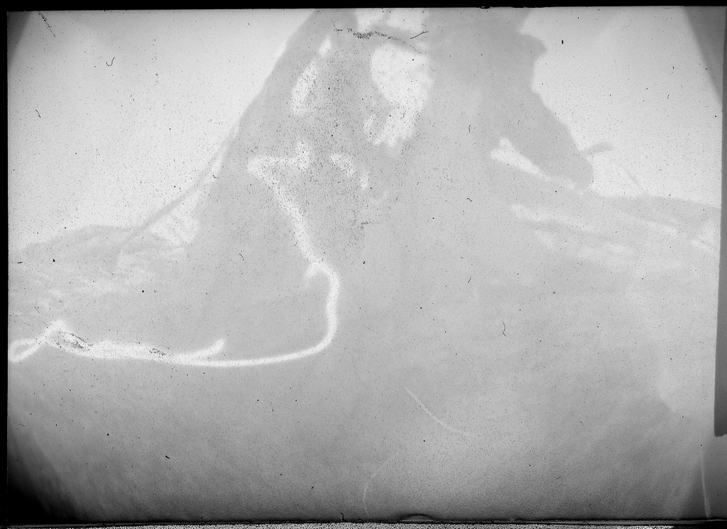 From the series "Island Life"